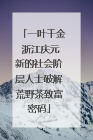 一叶千金 浙江庆元新的社会阶层人士破解荒野茶致富密码